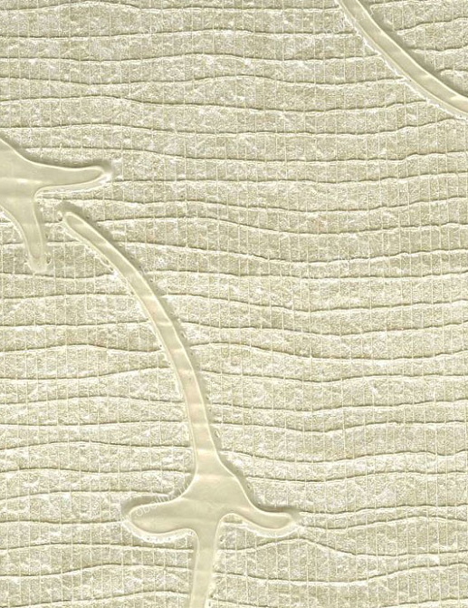Обои Schumacher Atelier 5003390