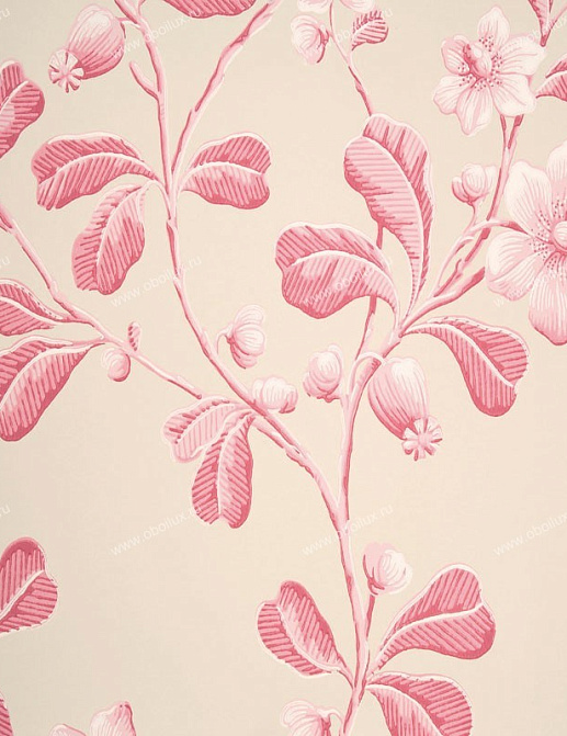Обои Little Greene London Wallpapers 0277BRROSEA