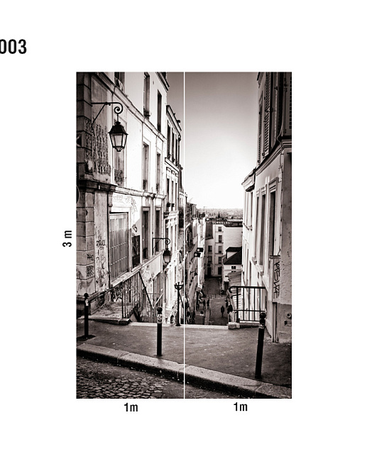 Панно и фотообои Loymina Illusion DS-003