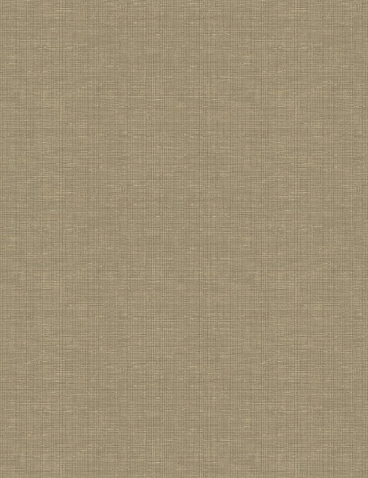 Обои Wallquest Geotex BW45607
