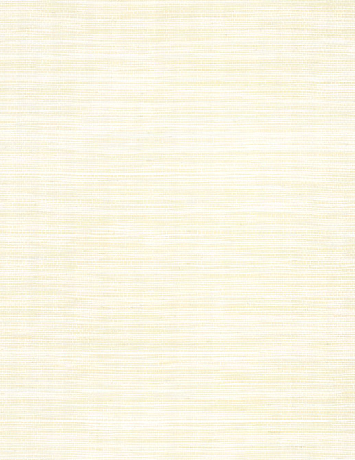 Обои Thibaut Natural Resource 3 T27007