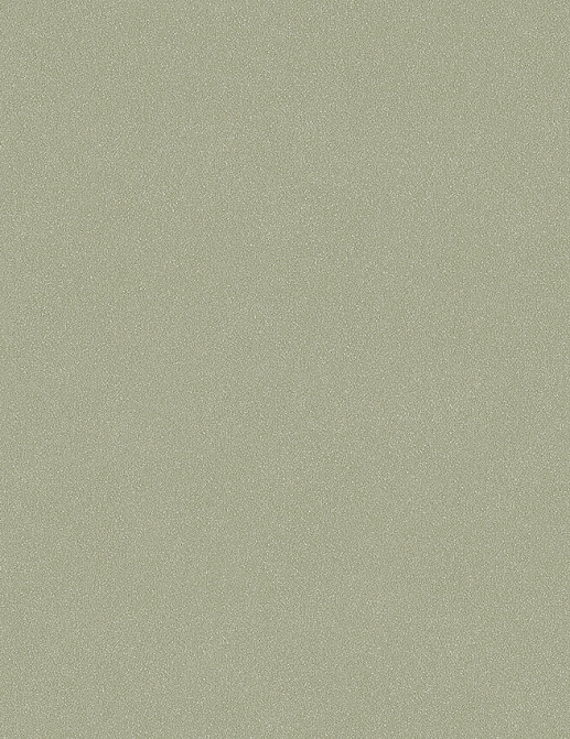 Обои Borastapeter Pigment 2023 7582