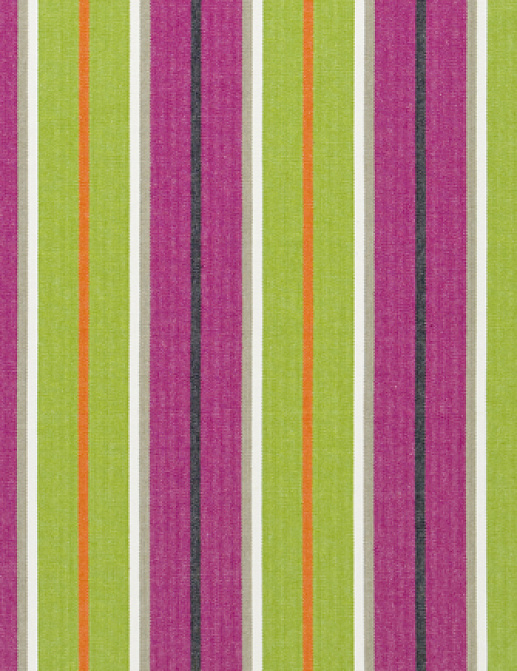 Ткань Designers Guild Tickings F1910/04