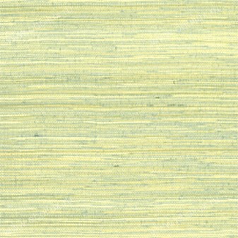 Обои Thibaut Grasscloth Resource T5078