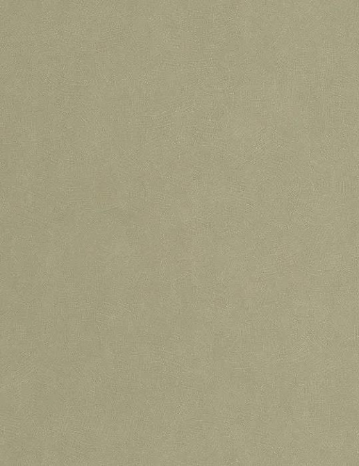 Обои Casadeco So Color 6 SOCO86427223