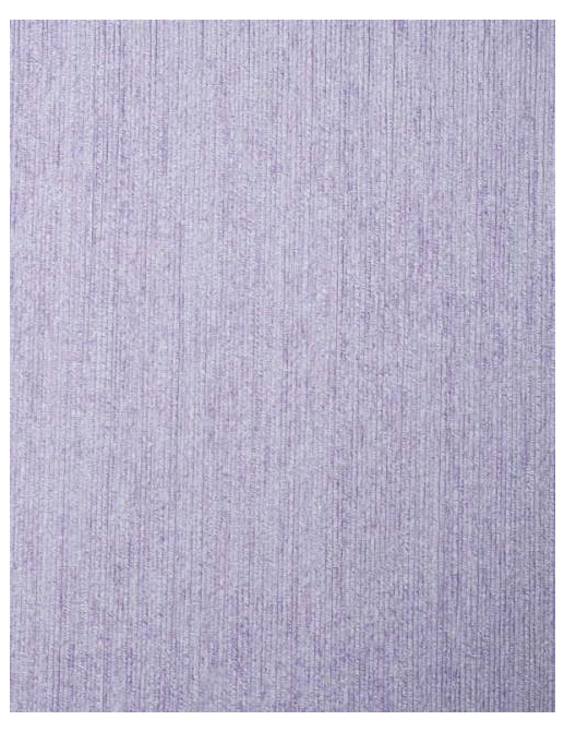 Обои Sangiorgio Living (Texwall Line) 208