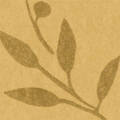 Обои Thibaut Chelsea T3252