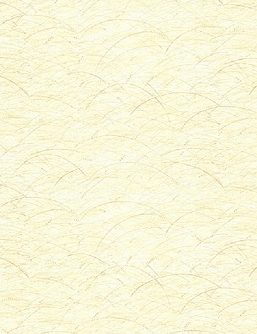 Обои York Carey Lind - Organic Finishes ZV6801W