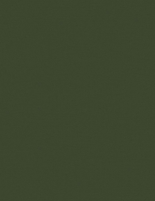 Обои Loymina Equator QTR8-005-2