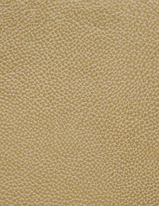 Ткань Holly Hunt Holly Hunt Leather 6013/03