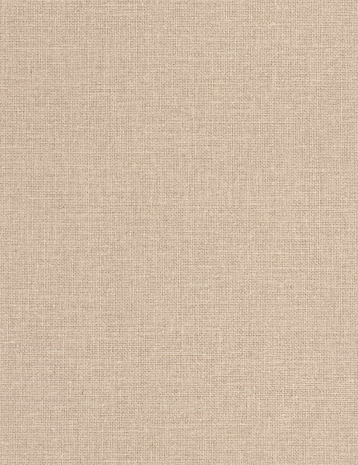 Обои Caselio Jute JTE104011555