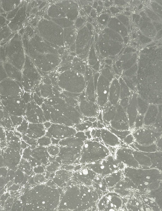 Панно и фотообои Calico Lunaris Fog