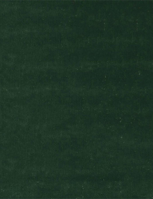 Ткань Zoffany Maze 333004