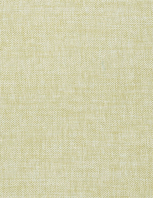 Ткань Designers Guild Ishida F1393/09