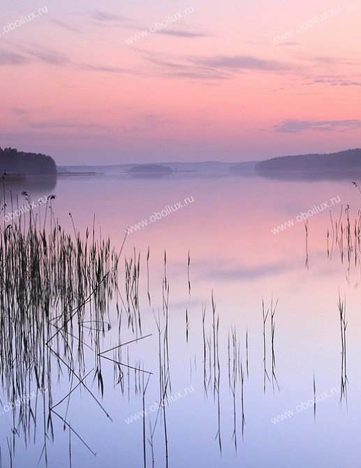 Панно и фотообои A. S. Creation XXL II 313 Lake Calm