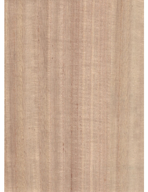 Обои B&M Living Woods H157NV1014