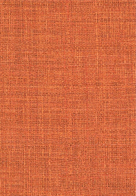 Обои Elitis Madagascar Arrowroot Raw Raffia VP73135