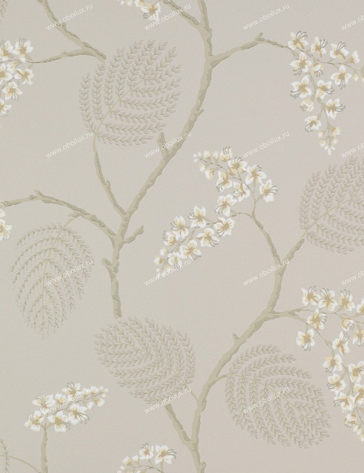 Обои Colefax and Fowler Celestine 07141-02