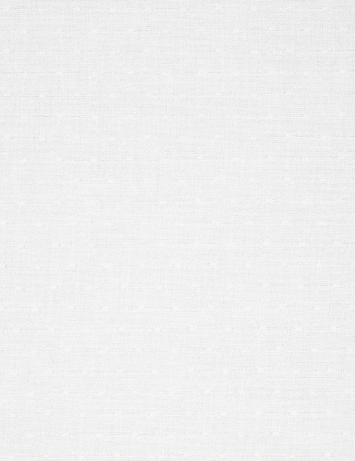 Ткань Nobilis Voiles de Lin XXL №2 10705.03