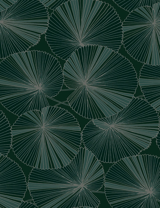 Обои York Natural Discovery (Candice Olson) NT6111