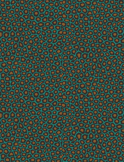 Обои Cole & Son The Ardmore Collection 109/6033