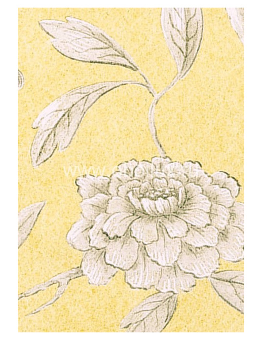 Обои Lewis & Wood Wide Width Wallpapers LW13392/Jasper Peony Buttermilk