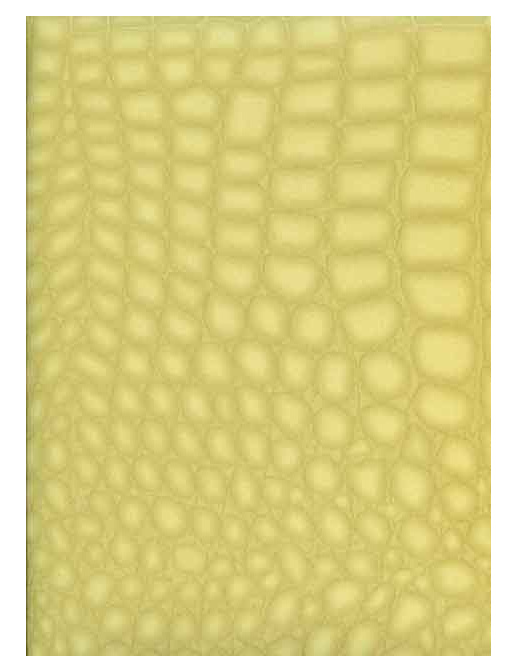 Обои Caselio Seduction SDN 5747-80-90
