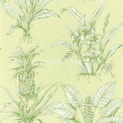 Обои Thibaut Toile Resource II T9798