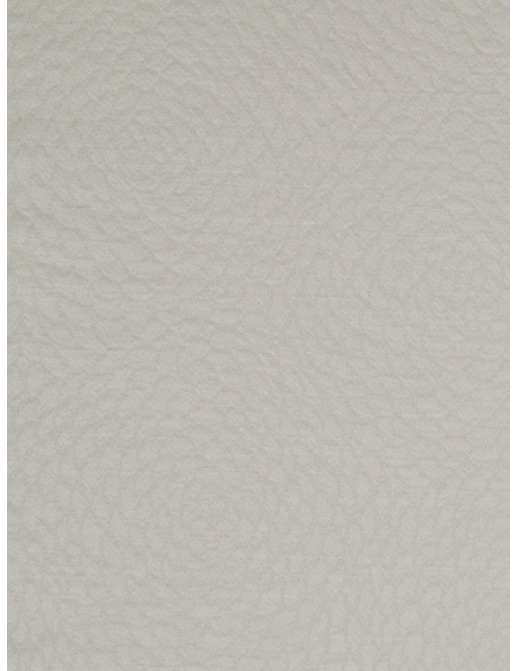 Ткань Fabricut Chromatics Vol.XXV Oyster Caesura/Ivory