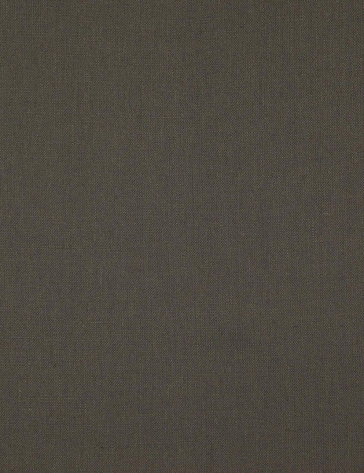 Ткань Daylight Canvas Canvas/Slate