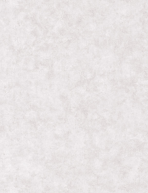 Обои Caselio Beton 2 BTO101489301