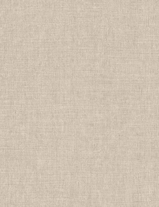 Обои Arte Indienne 18342