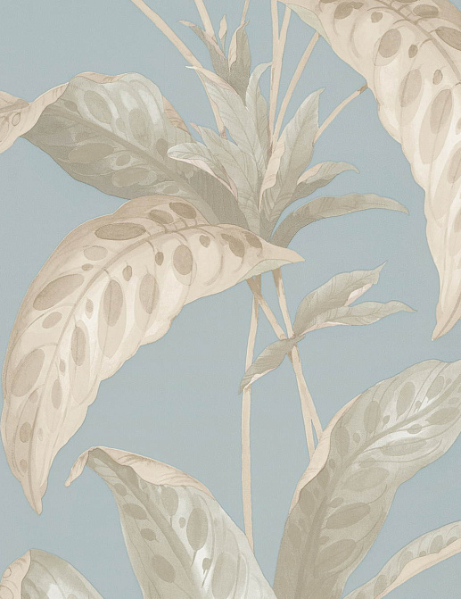 Обои Paint & Paper Library Botany 0360TRSEANO