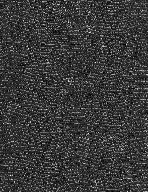 Обои Phillip Jeffries Contract Vinyl 8079