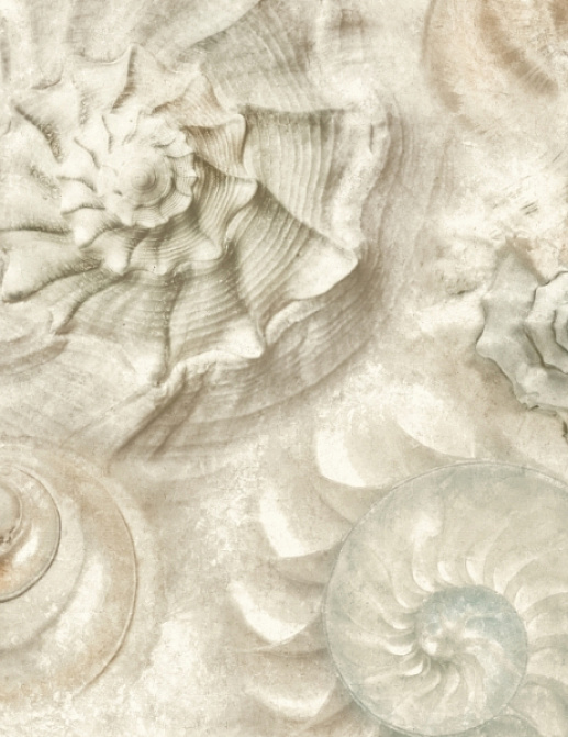 Обои York Carey Lind - Coastal Calm CM3347