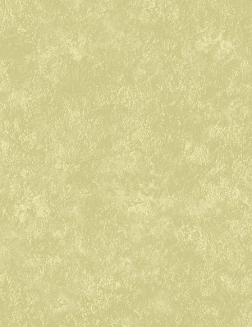 Обои Loymina Impress Stucco005