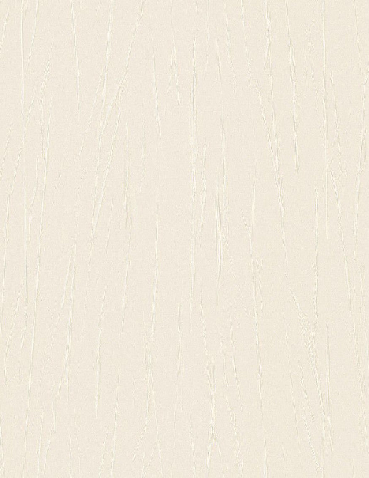 Обои Rasch Passepartout 605938