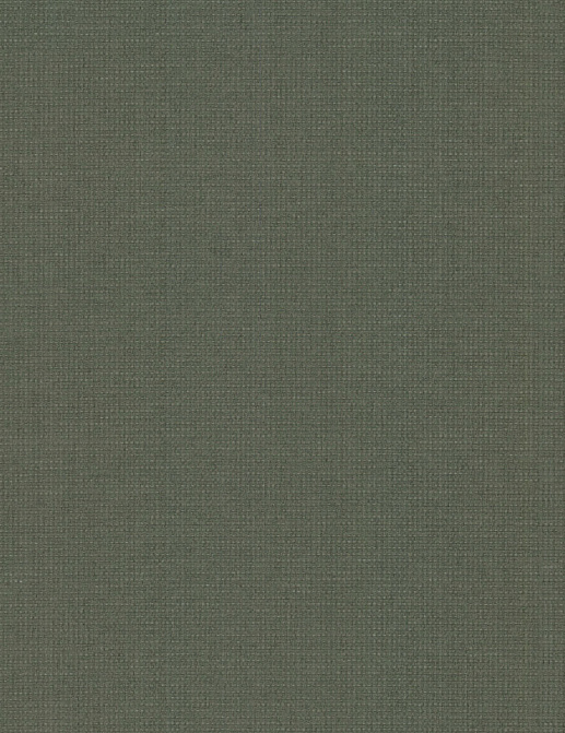 Обои York Ronald Redding Grasscloth & Natural Resource GV0261