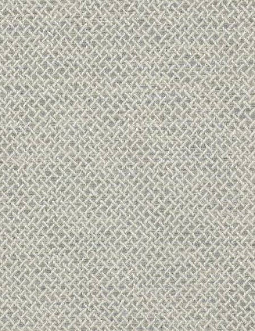 Ткань Colefax and Fowler Brett Weaves F4646/02
