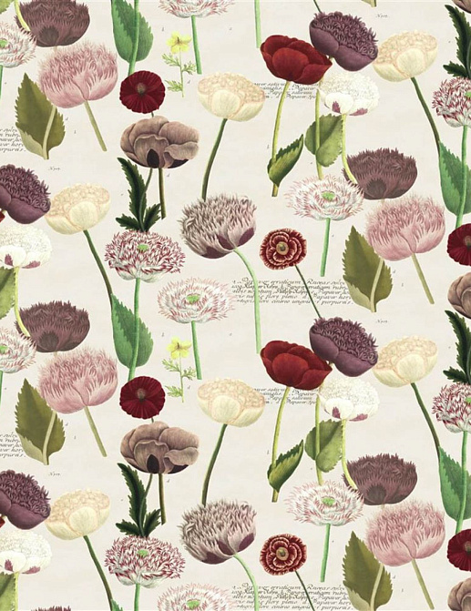 Ткань Designers Guild Picture Book III FJD6054/01