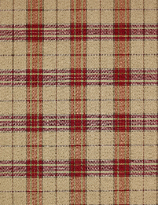 Ткань Colefax and Fowler Magnus Checks F4238/05