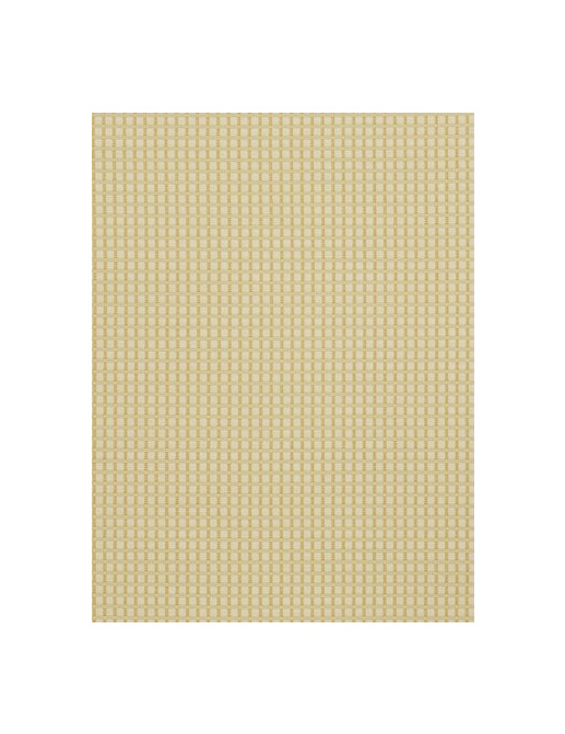 Ткань Fabricut Chromatics Vol.XXII Golden Coralla/Hay