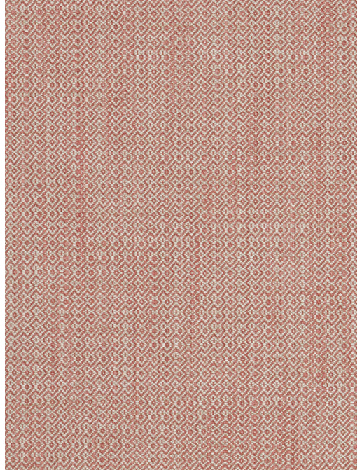 Ткань Fabricut Chromatics Vol.XXV Coral Palindrome/Coral