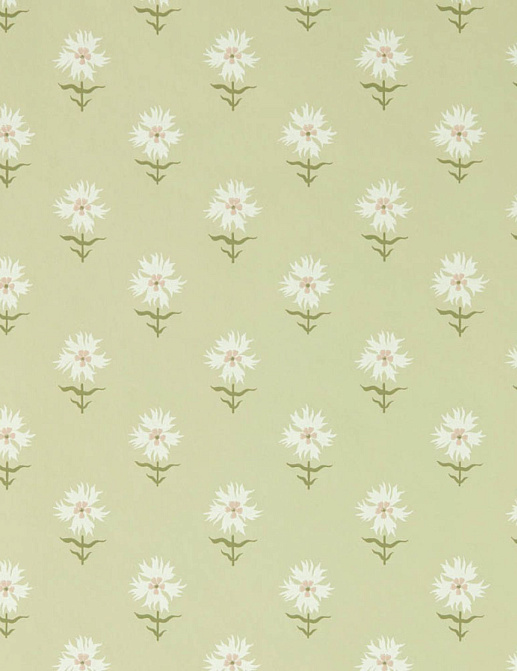 Обои Harlequin Harlequin x Henry Holland 113162