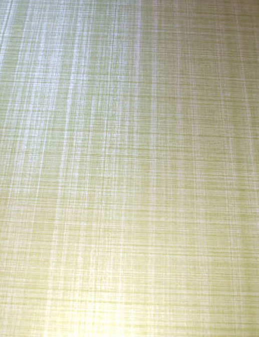 Обои Today Interiors Jeunesse JW5361