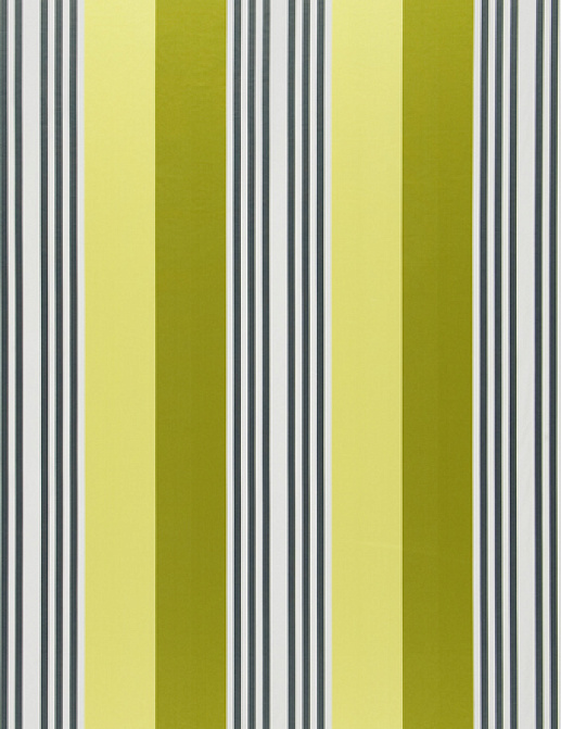 Ткань Designers Guild Fleuve F1931/02