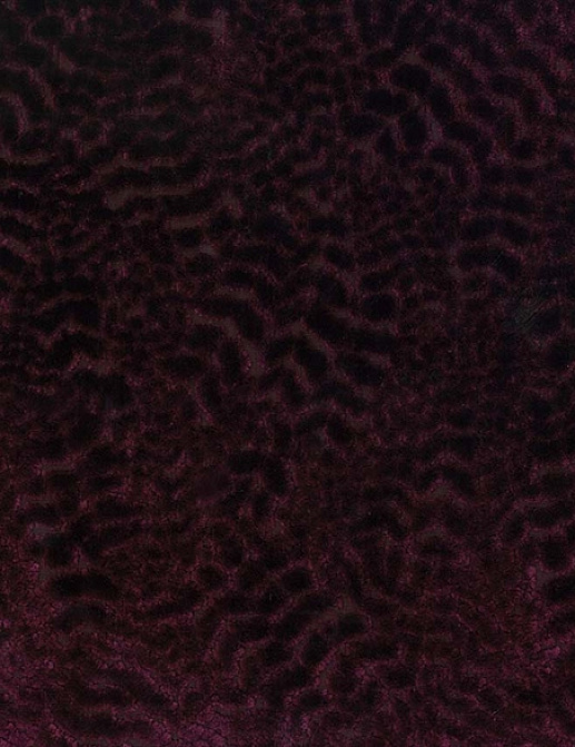 Ткань Nina Campbell Cathay Weaves NCF4160-05