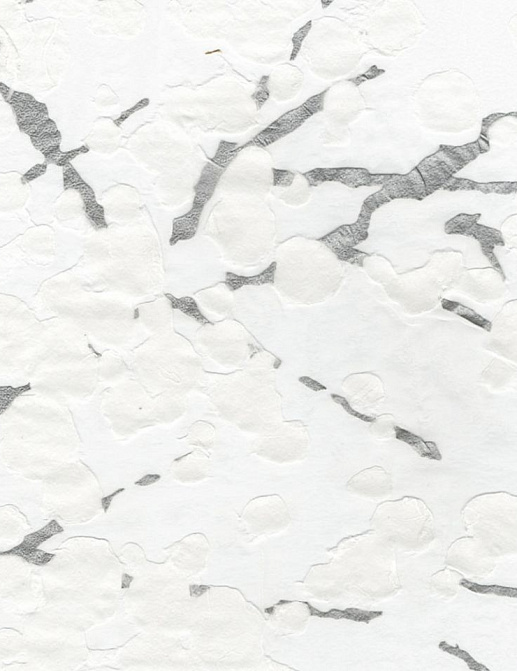 Ткань Andrew Martin Berkeley Nightingale/White Silver