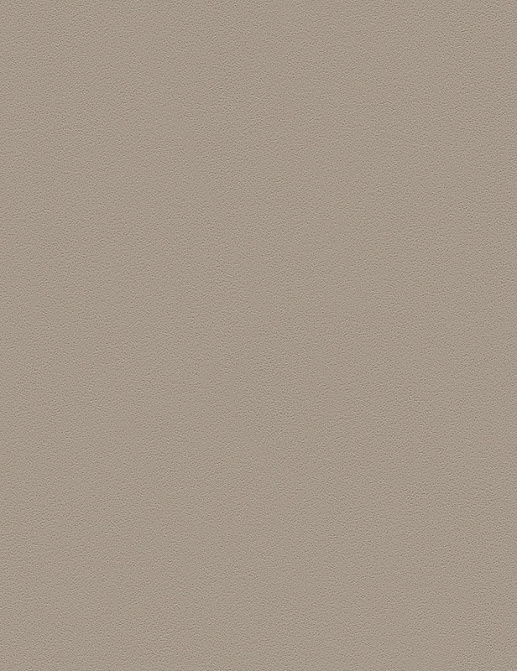 Обои A. S. Creation Die Glatte Wand 309525