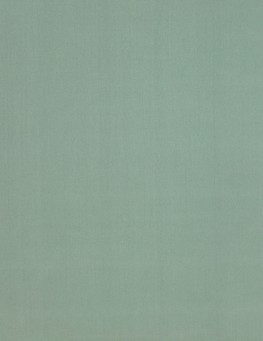 Ткань Manuel Canovas Rivoli 04982/25